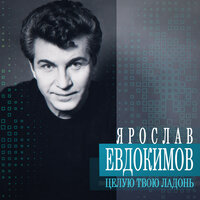 Ярослав Евдокимов - Колодец